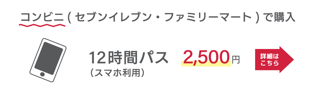 コンビニ(セブンイレブン・ファミリーマート)で購入　12時間パス（スマホ利用）　2,500円